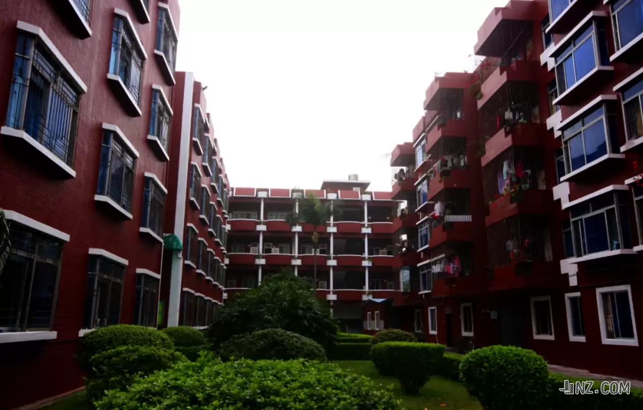 东莞市樟木头百顺小学4