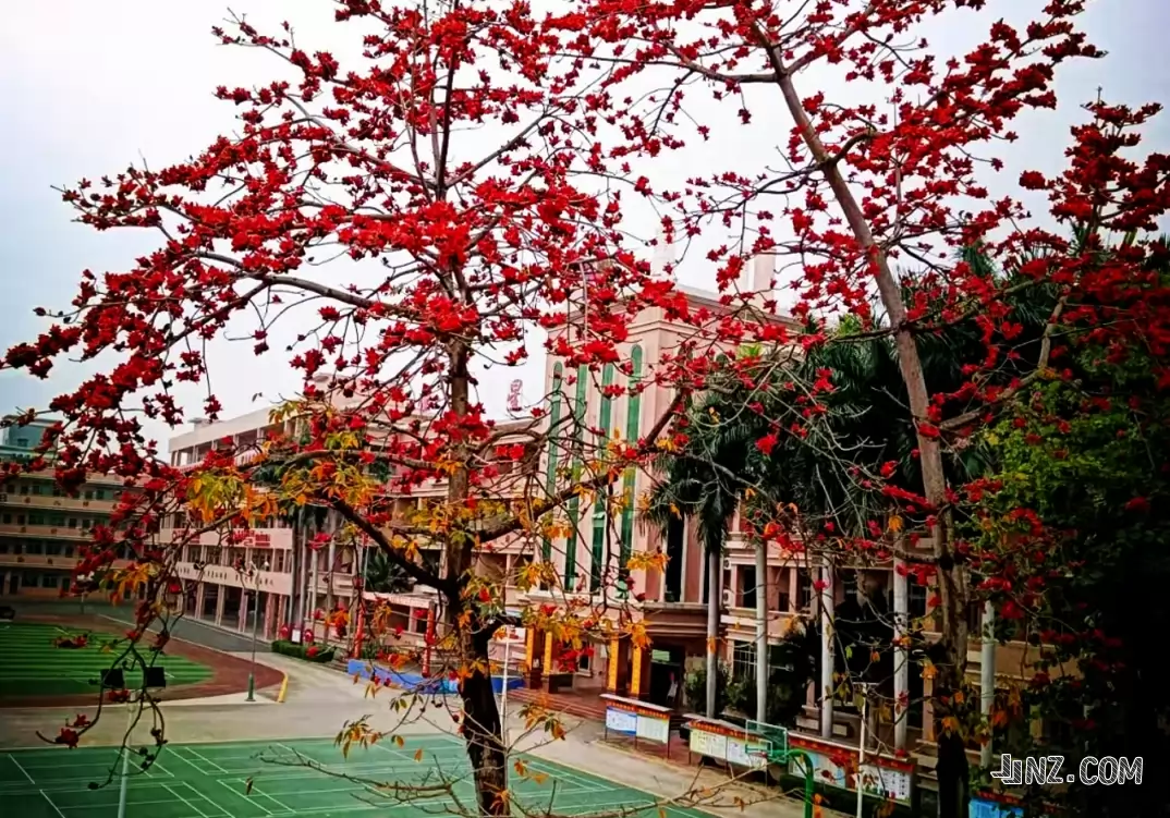 东莞市塘厦恒星小学
