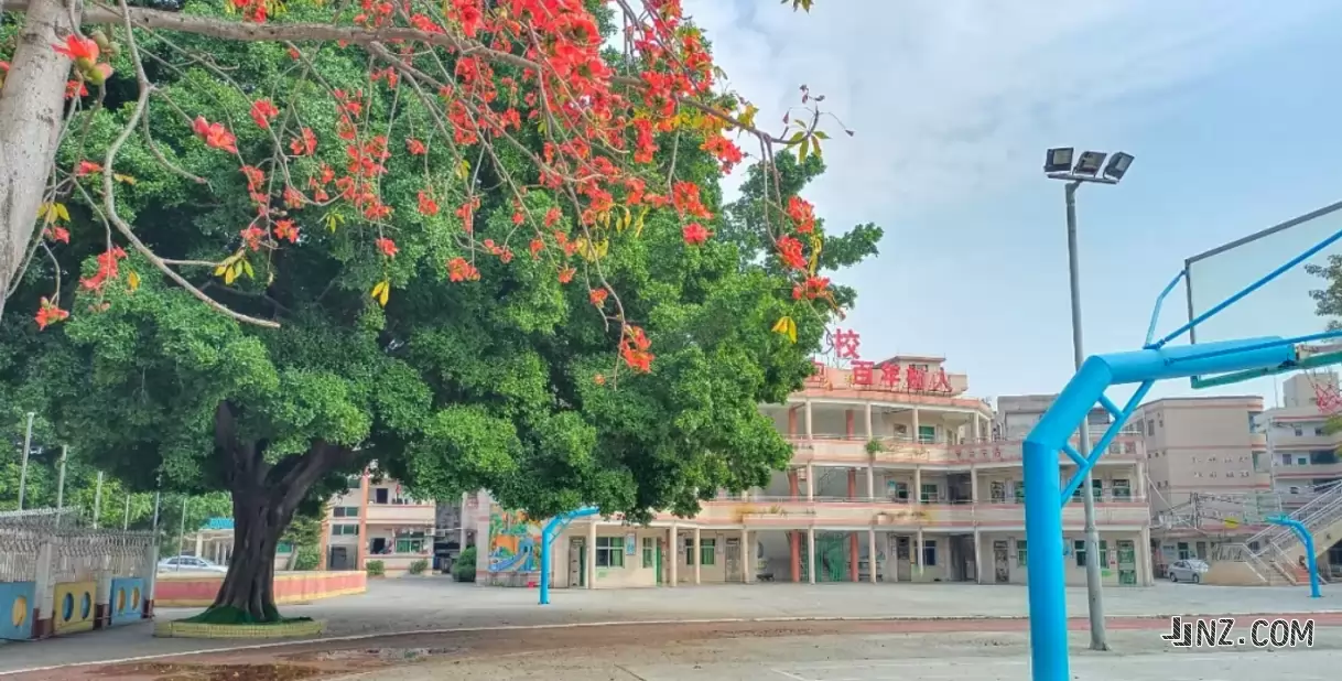 东莞市大朗向阳小学3