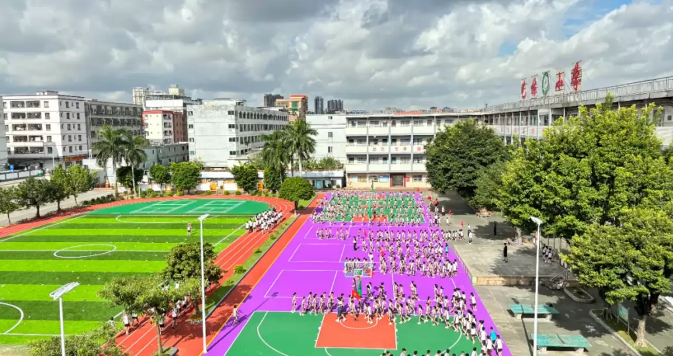 东莞市万江艺林小学2