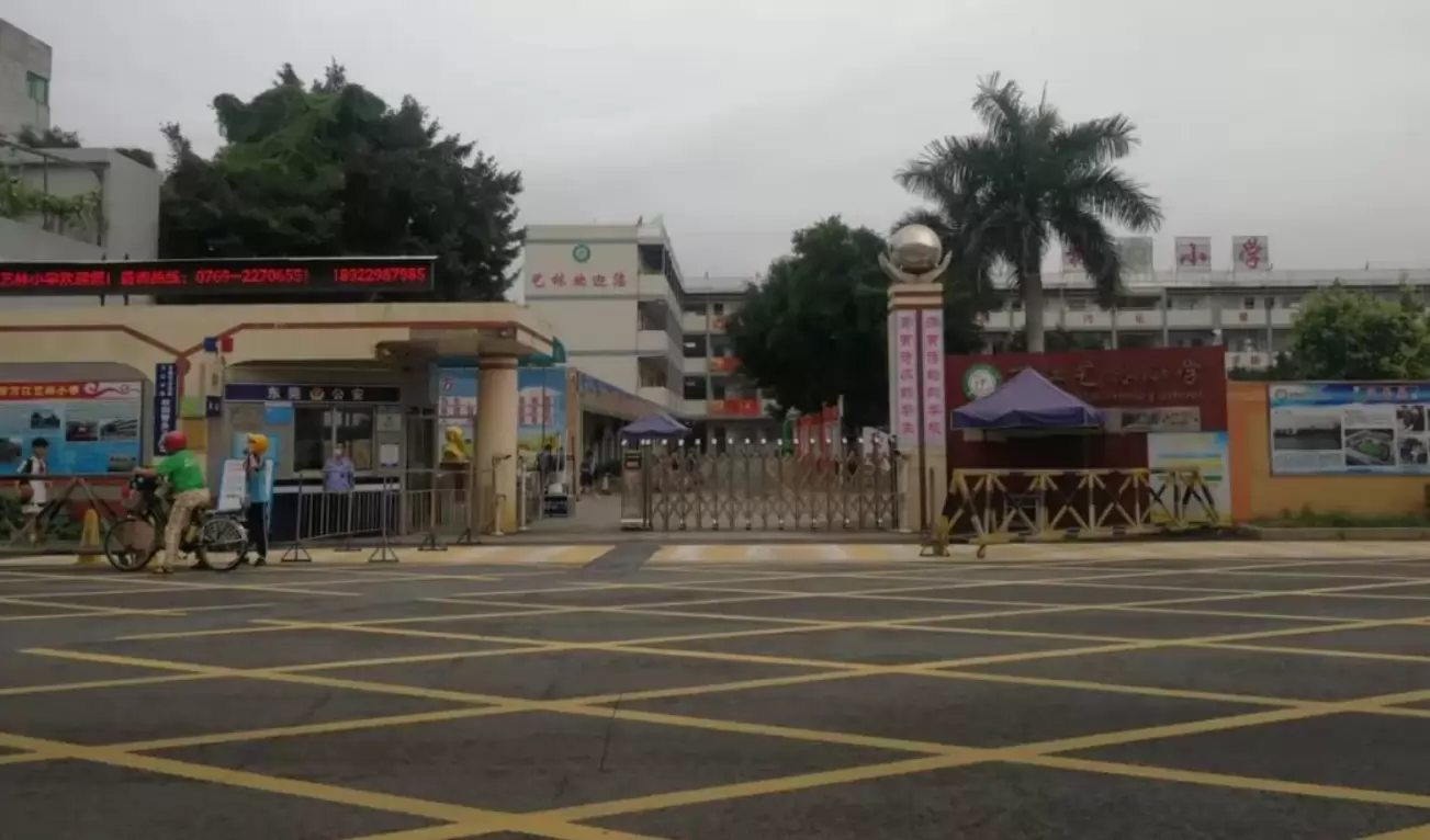 东莞市万江艺林小学3