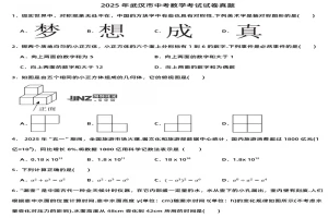 2025年武汉市中考数学考试试卷真题及参考答案