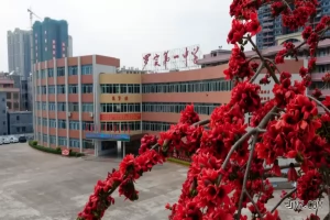 罗定第一中学收费标准(学费+住宿费)