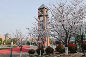 2025年南京汉开书院学校小学部招生简章(含收费标准)