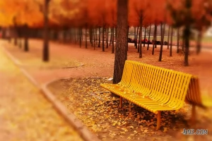 大连新世纪高级中学收费标准(学费+住宿费)