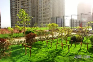 大连市康考迪亚高级中学收费标准(学费+住宿费)