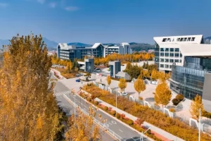 2025年青岛六中高考成绩升学率(高考喜报)