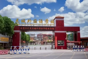 东莞市石龙龙城外国语学校收费标准(小学学费+初中学费)