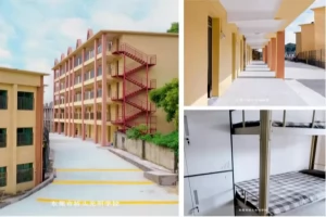 东莞市桥头光明学校收费标准(学费+住宿费+伙食费)